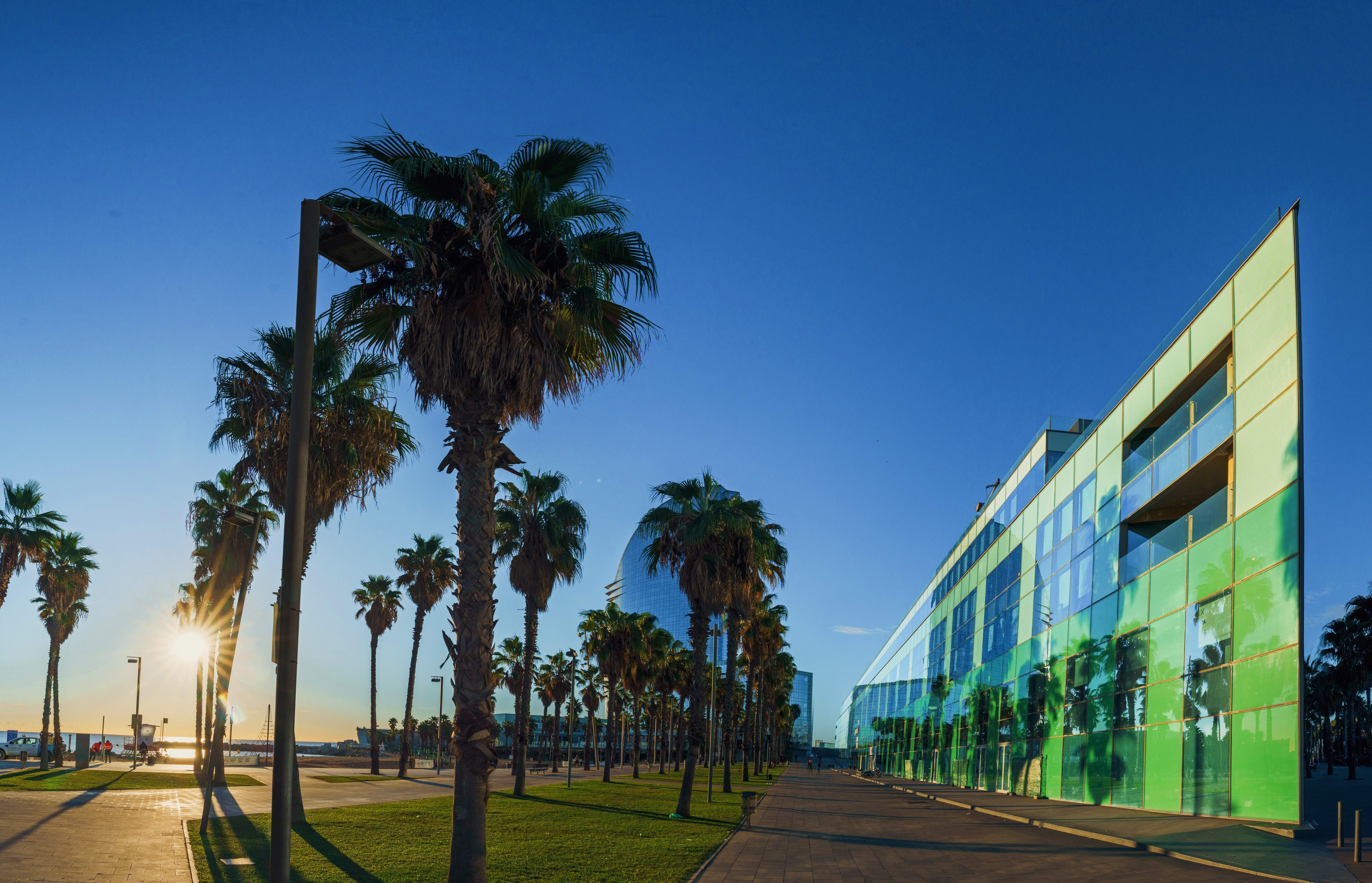 The Norrsken House Barcelona courtyard at sunset — green-glass facade beside a palm-lined promenade with the Hotel W tower in the distance.